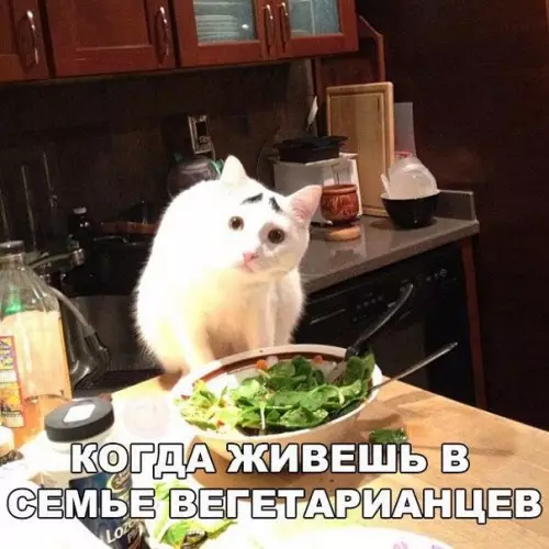 Смешная картинка №198462