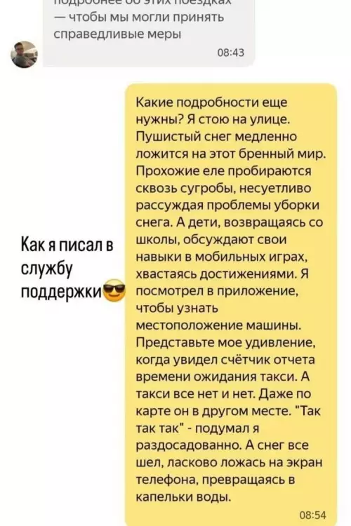 Ожидание vs Реальность в такси 🚕❄️ - Как я писал в службу поддержки: Какие подробности еще нужны?