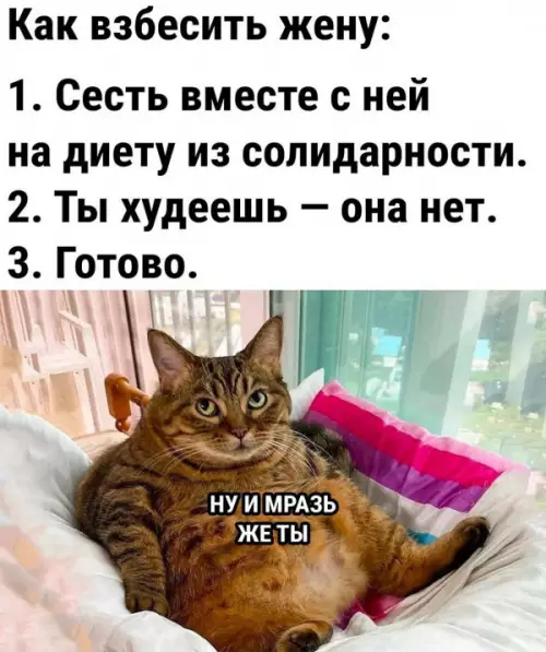 Смешная картинка №654099
