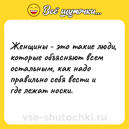 Шутка: Женщины - это такие люди, которые объясняют всем остальным, как надо правильно себя вести и где лежат носки.