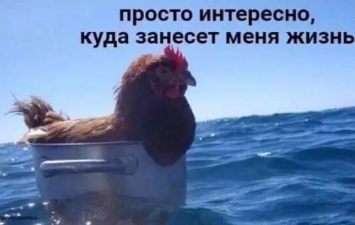 Смешная картинка №660774