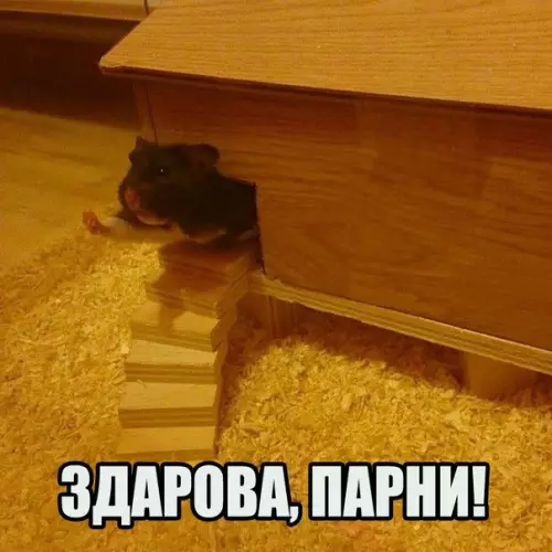 Смешная картинка №224089