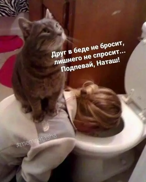 Смешная картинка №604242
