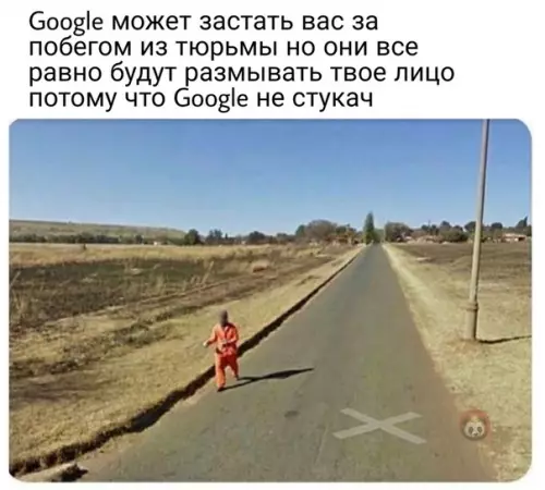 Смешная картинка №512429 Гугл не крыса :)