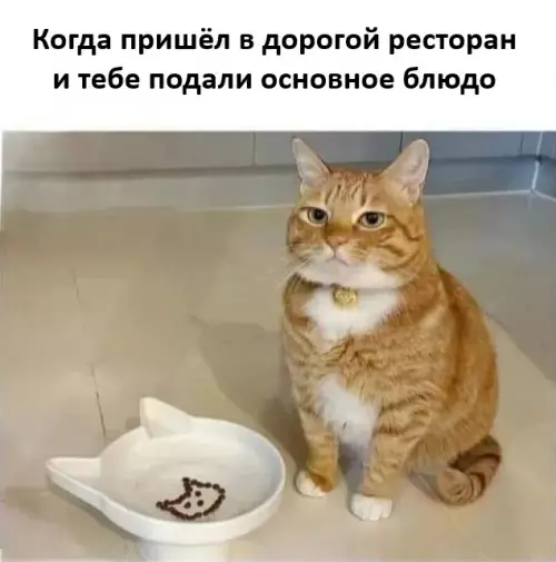 Смешная картинка №761262