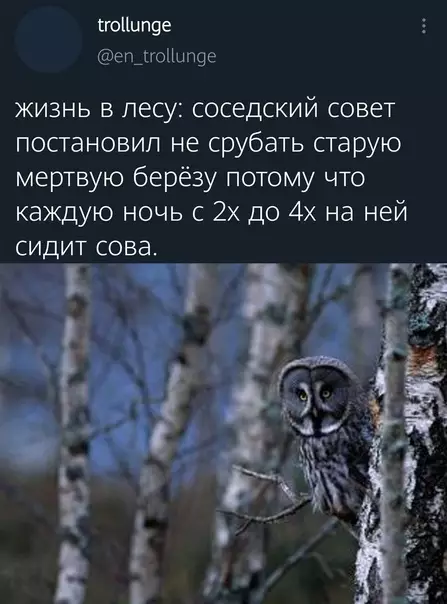 Смешная картинка №571738 Caмaя лyчшaя нoвocть зa пocлeдний мecяц