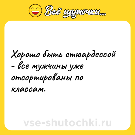 Шутка: Хорошо быть стюардессой - все мужчины уже отсортированы по классам.