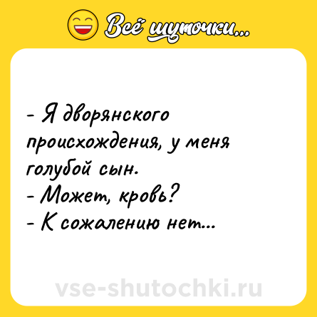 Шутка: - Я дворянского происхождения, у меня голубой сын. <br>- Может, кровь? <br>- К сожалению нет...