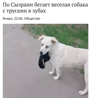 Смешная картинка №714141