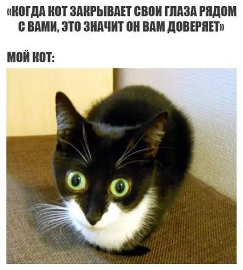 Смешная картинка №267500