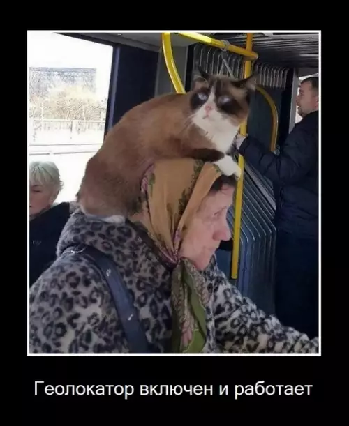Смешная картинка №687132