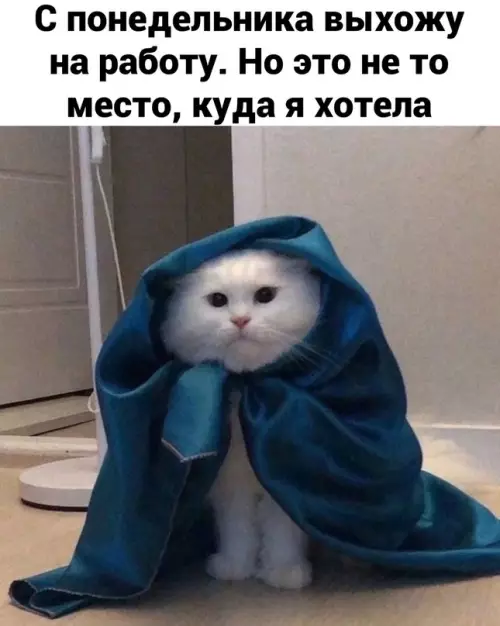 продолжение Смешная картинка №656043
