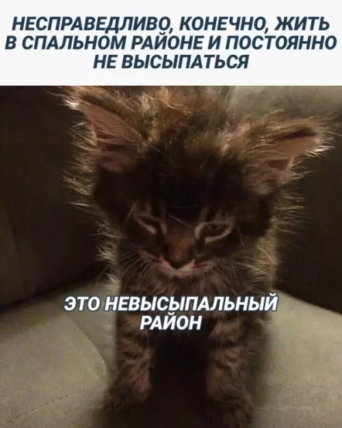 Смешная картинка №659833