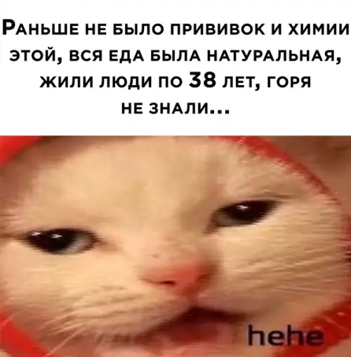 Смешная картинка №550322