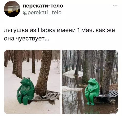 Смешная картинка №704188