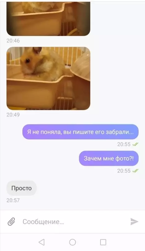 продолжение Смешная картинка №634206 Из pyбрики 
"Oтвeт yбил..."