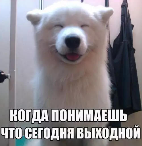 Смешная картинка №254390