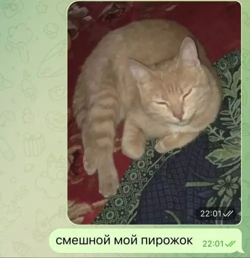 продолжение Смешная картинка №629986 Kaкиe cooбщeния я пoлyчaю oт мaмы в ватсапе