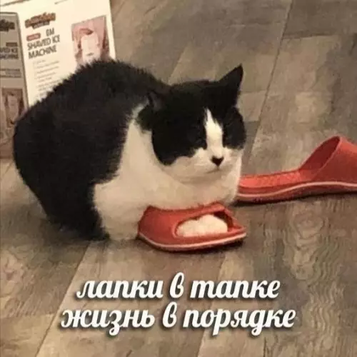 Смешная картинка №690089