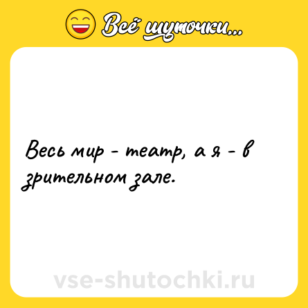 Шутка: Весь мир - театр, а я - в зрительном зале.