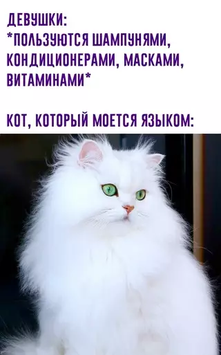 Смешная картинка №657817