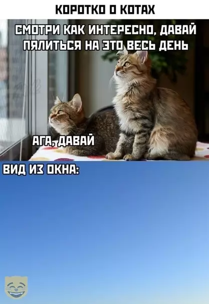Смешная картинка №410726 #приколы #картинки #мемы ?