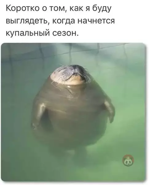 Смешная картинка №548496 Ну, Новый Год и Рождество отгуляли. Давайте уже лето!