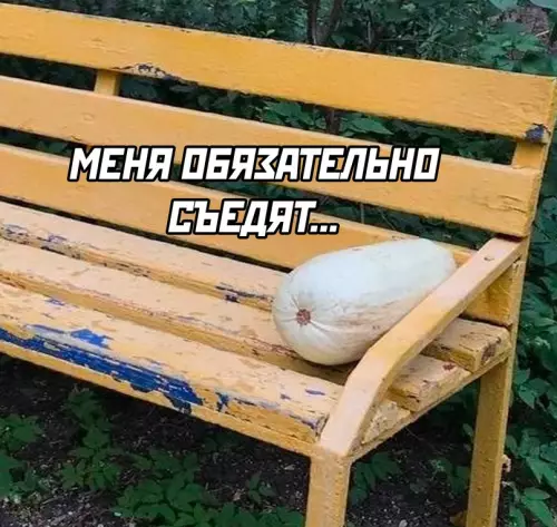 продолжение Смешная картинка №696548 Вот они — брошенные, одинокие, никому не нужные...