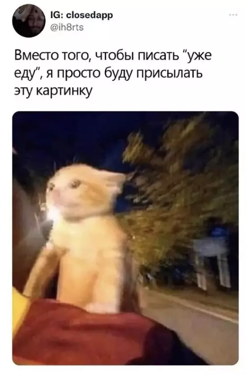 Смешная картинка №663754