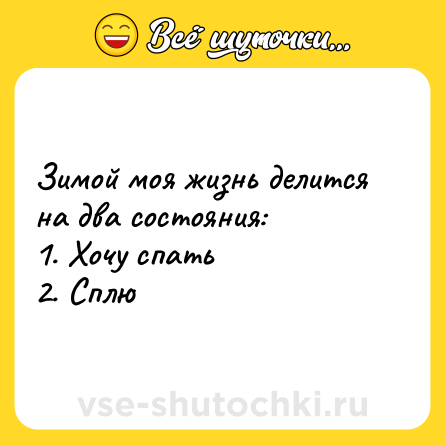 Шутка: Зимой моя жизнь делится на два состояния: <br>1. Хочу спать <br>2. Сплю