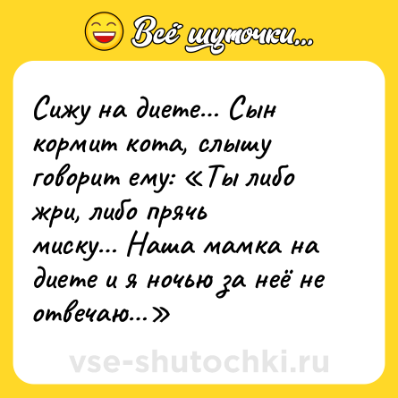Шутка: Сижу на диете… Сын кормит кота, слышу говорит ему: «Ты либо жри, либо прячь<br>миску… Наша мамка на диете и я ночью за неё не отвечаю…»