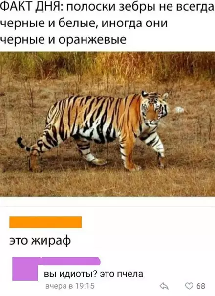 Смешная картинка №289778