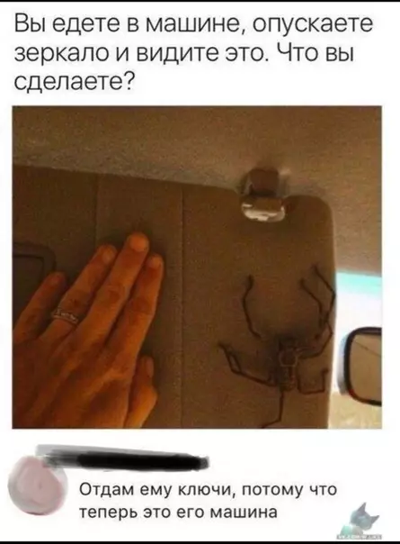 Смешная картинка №323849