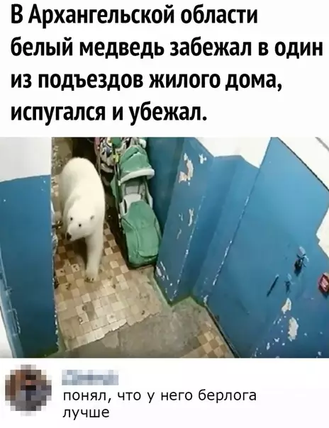 Смешная картинка №331611 Хорошо живёт на свете Винни Пух