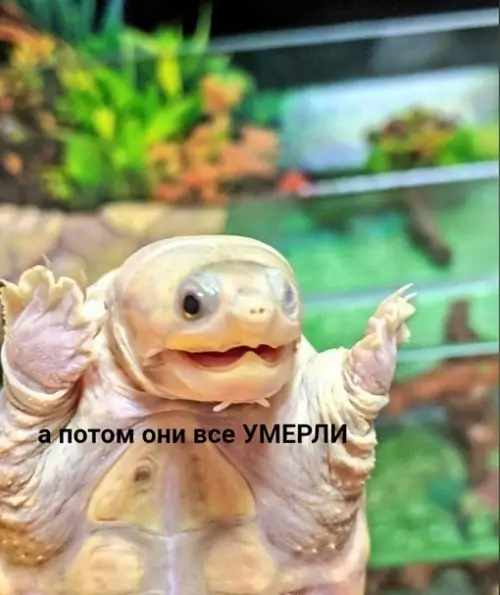 Смешная картинка №695749 Бабуля каждый раз, когда начинает длинную историю о ком-то из своих знакомых: