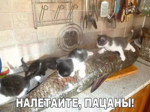 Смешная картинка №199767
