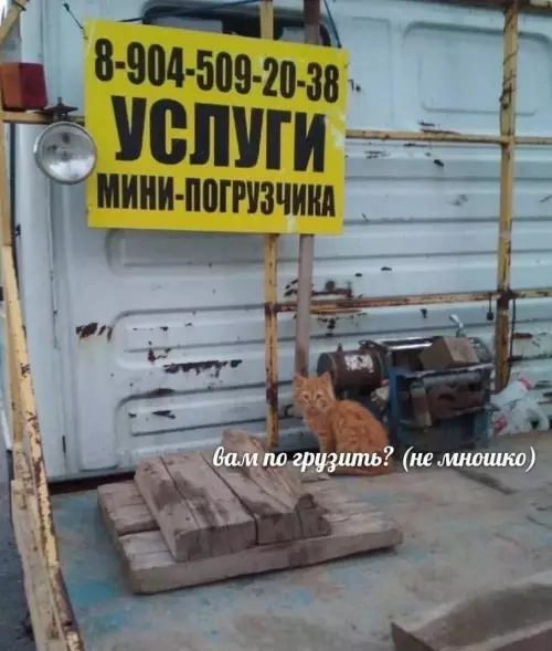 Смешная картинка №782691
