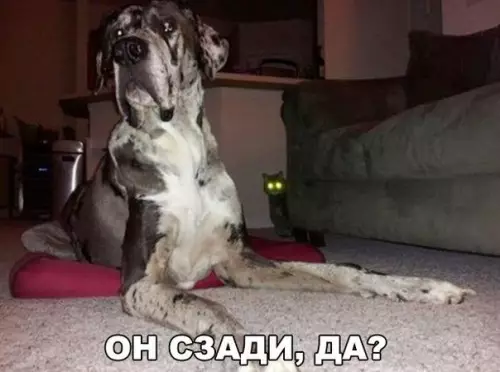 Смешная картинка №231181