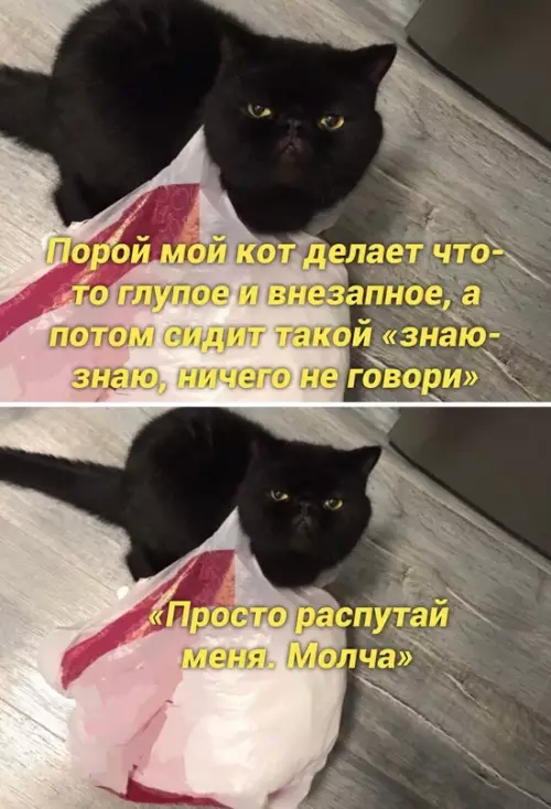 Смешная картинка №661780