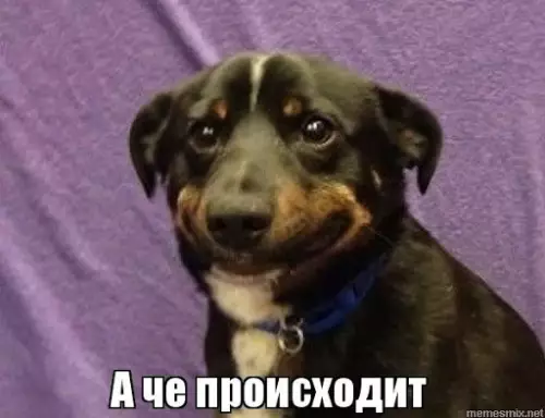 продолжение Смешная картинка №584275 Разрабы творят чудеса