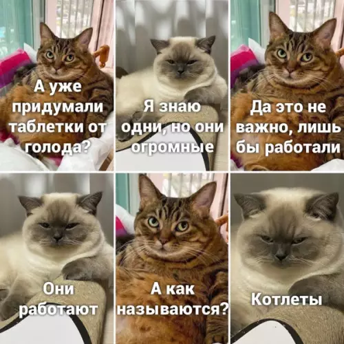 Смешная картинка №652321