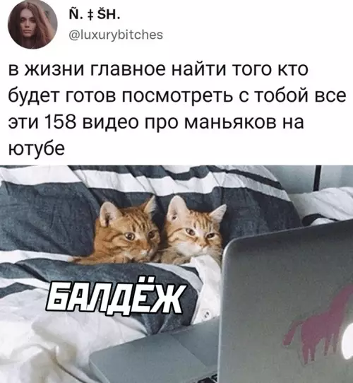 Смешная картинка №628261