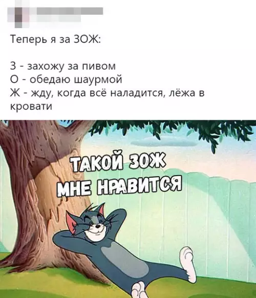 Смешная картинка №340508