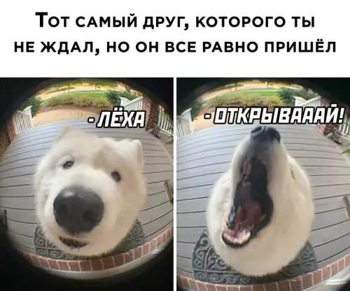 Смешная картинка №613604