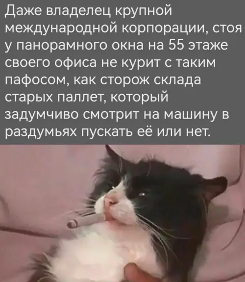 Смешная картинка №694391