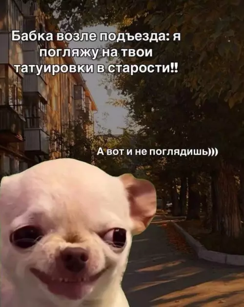 Смешная картинка №805768