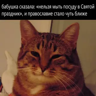 Смешная картинка №671596