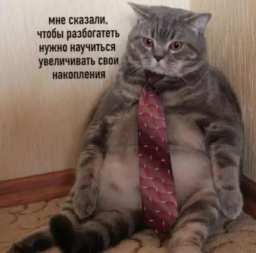 Смешная картинка №502409 Ну почему для богатства недостаточна галстука и пузца?