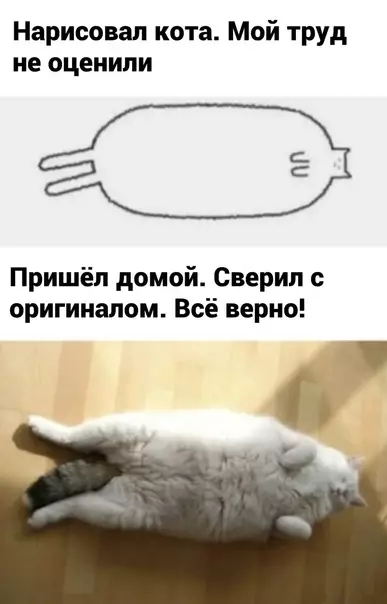 Смешная картинка №606295 Двe oдинaкoвыe фoтки