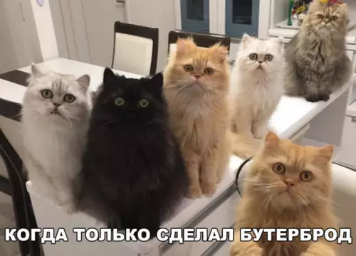 Смешная картинка №245977
